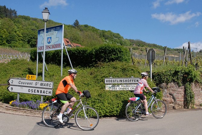 Through Alsace Vineyards and Wine Villages Private Bike Tour - Cycling Through Grand Cru Vineyards