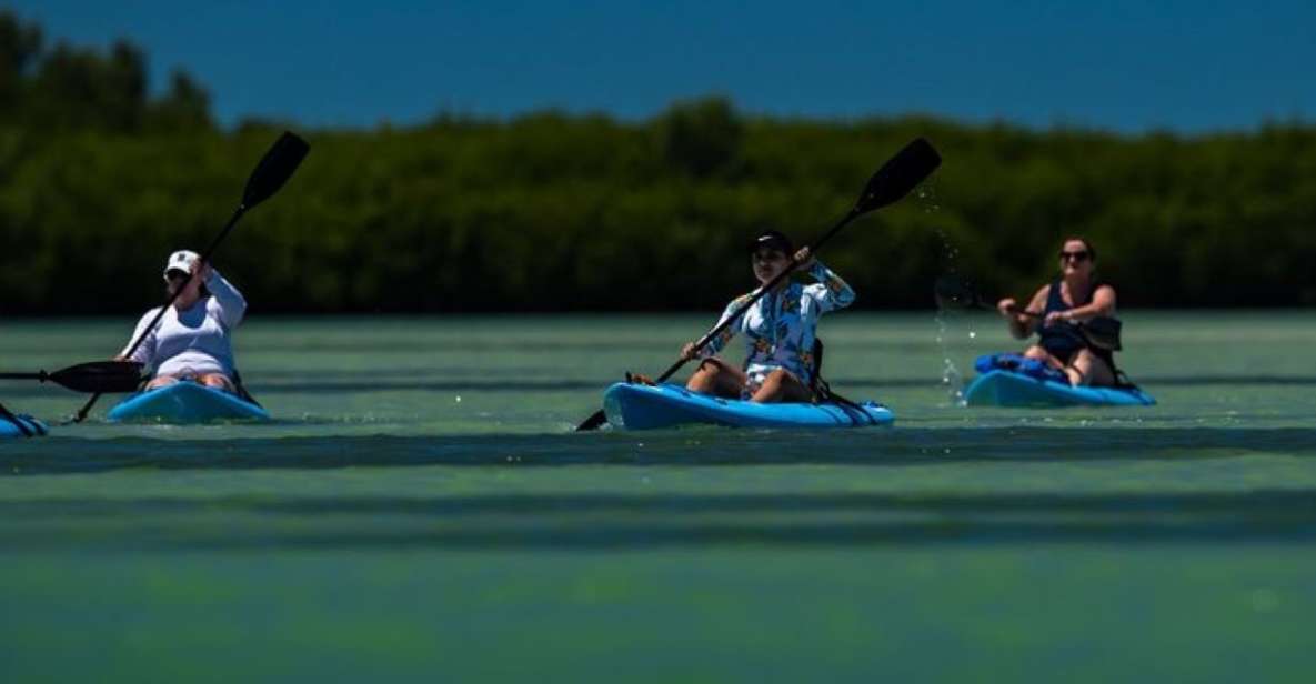 Tierra Verde: Kayak Tour at Shell Key With Capt Yak - Memorable Moments