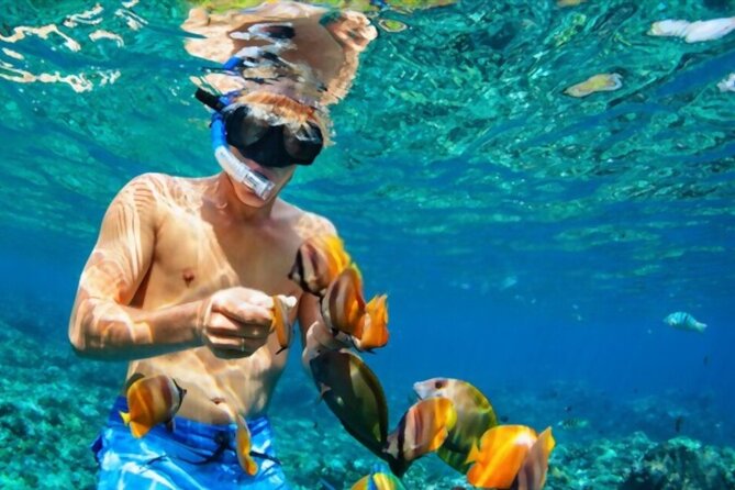 Tiran Island Snorkeling Excursion - Guide and Group Size