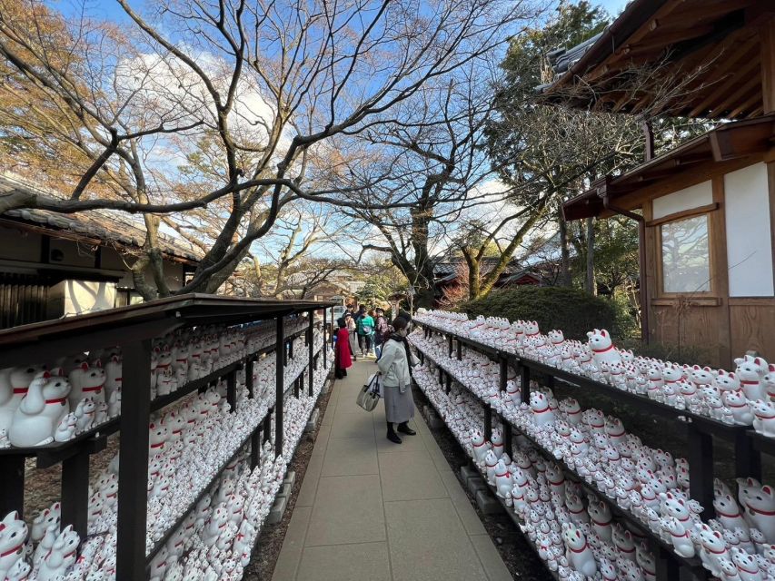 Tokyo Gotokuji Unique Temple Walking Tour for Cat Lovers. - Inclusions