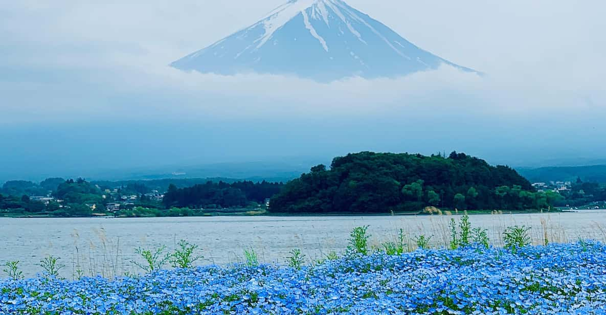 Tokyo: Mount Fuji or Hakone Customized Private Full-Day Trip - Inclusions