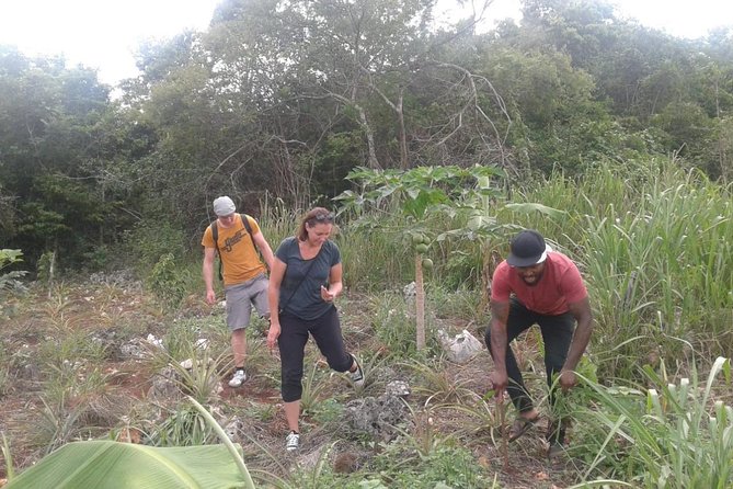 Tour a Jamaican Farm - Booking and Cancellation Details