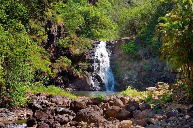 Tour of North Shore & Waimea Waterfall - Accessibility and Safety Considerations