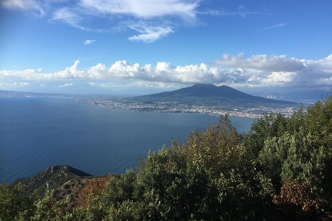 Transfer From Sorrento to Naples - Cancellation Policy