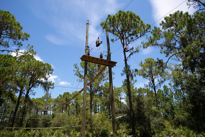 TreeUmph Adventure Course - What to Expect