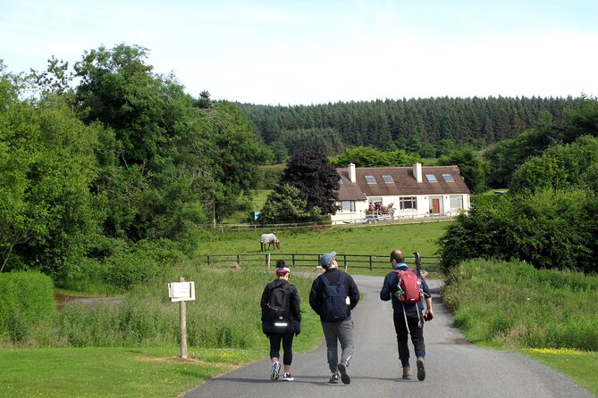 Trek the Tombs and Trails in the Dublin Mountains - Start Time and Meeting Point