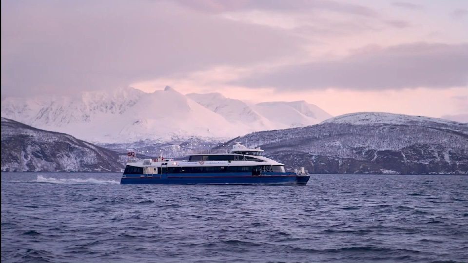 Tromsø: Arctic Fjord Cruise in Polar Landscapes - Wildlife Spotting Opportunities