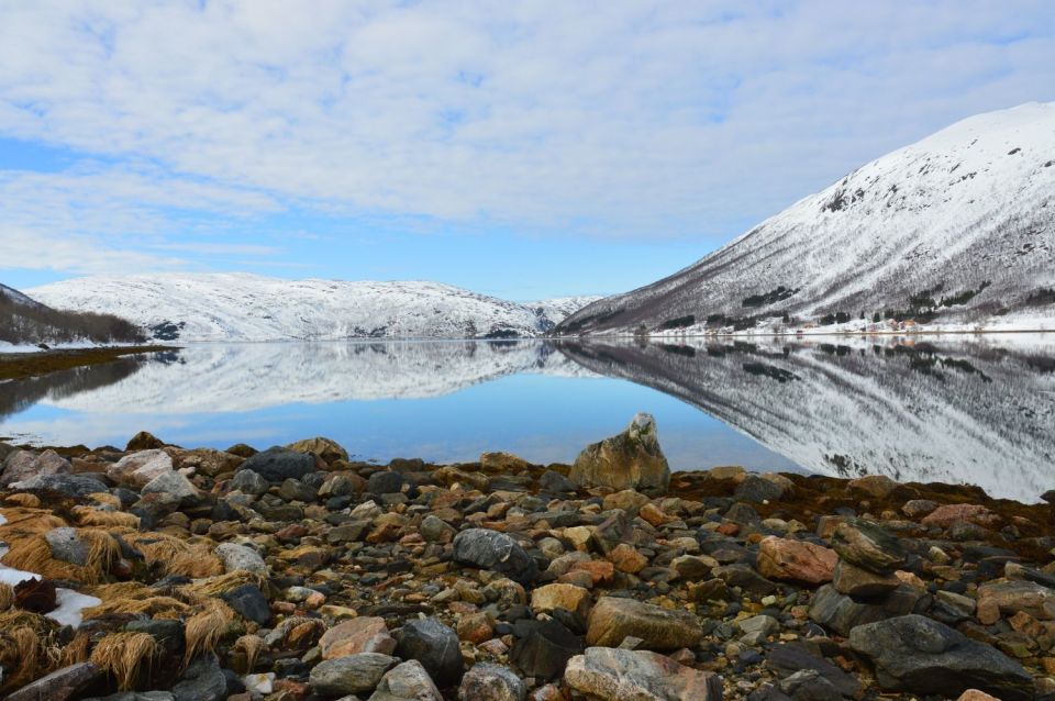 Tromsø: Arctic Landscape and Fjord Tour With Snacks - Break at Grøtfjorden