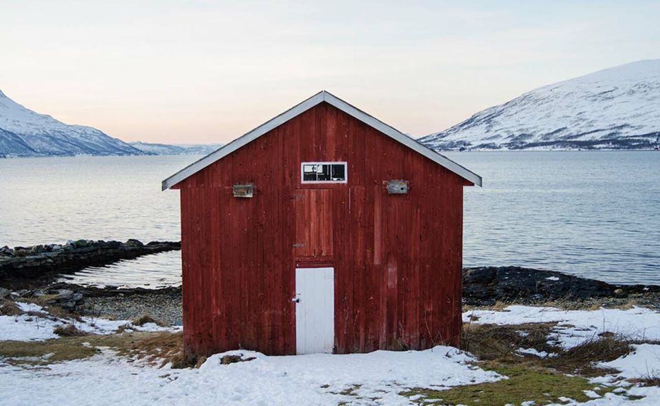 Tromsø: Arctic Sightseeing Tour & Citizen Science Project - Meeting Point and Pickup