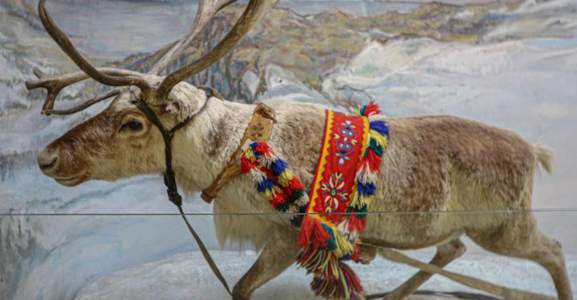 Tromsø: Discover Sami Culture Museum Expedition - Sami History and Traditions