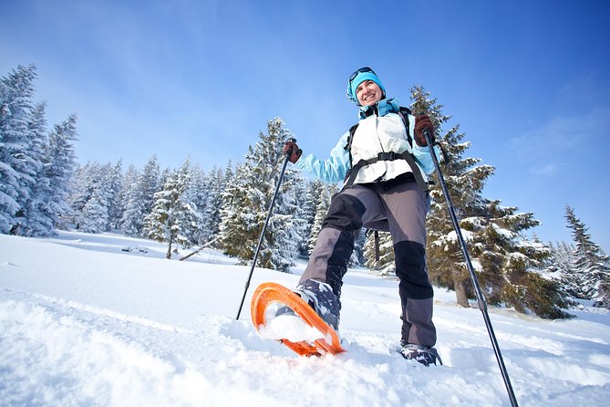 Tromso Guided Snowshoe Trip - Explore the Breathtaking Scenery