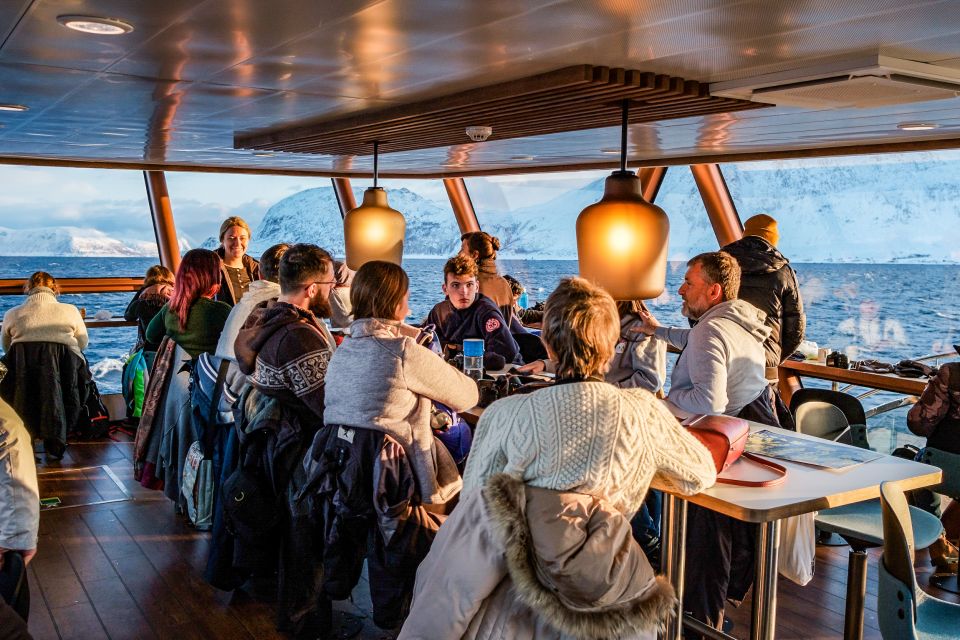 Tromsø: Whale Watching Tour by Hybrid-Electric Catamaran - Departure and Destination