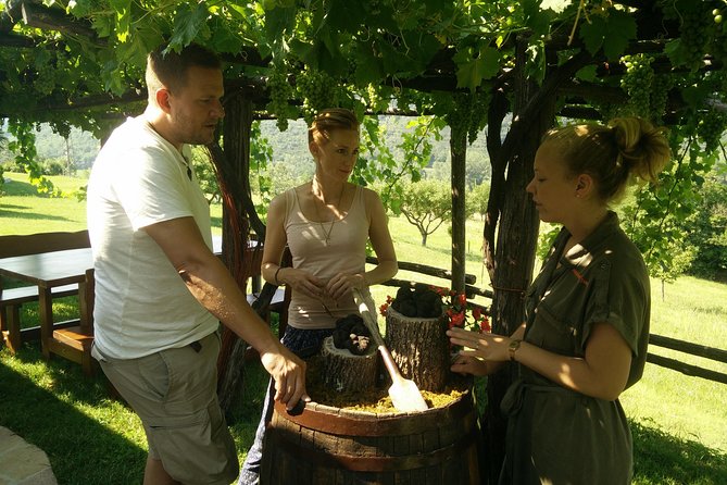 Truffle and Wine / Taste of Istria From Porec, Rovinj, PULA - Wine Cellar Visit