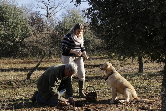 Truffle Hunt & Barolo Wine Tasting - Cancellation Policy Information