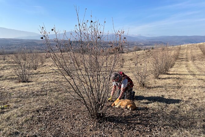 Truffle Hunting in Kyustendil - Cancellation Policy and Weather Alternatives