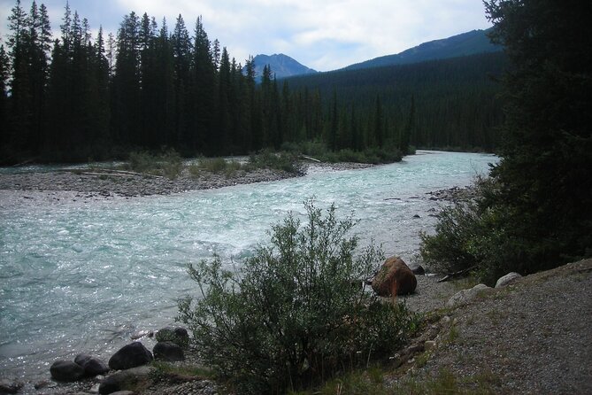 Tunnel Mountain Trail: a Smartphone Audio Nature Tour - Cancellation Policy