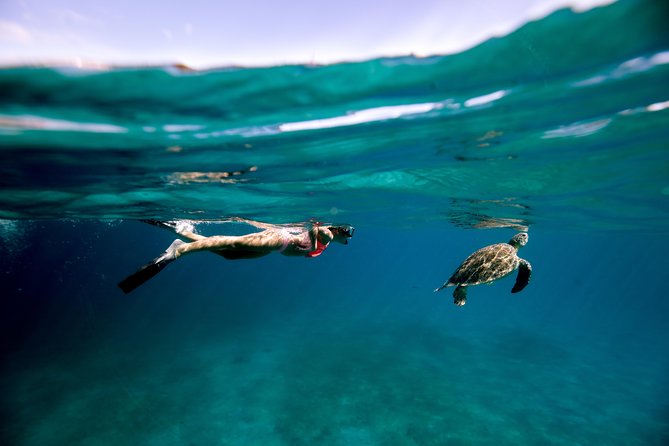 Turtle Cove Catamaran Snorkel and Sail at Little Buck Island - Meeting and Pickup Details