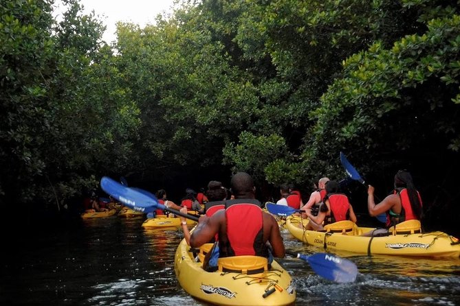 Two-In-One Day Trip: El Yunque and Bio Bay Tour With Transport - Tour Requirements and Restrictions