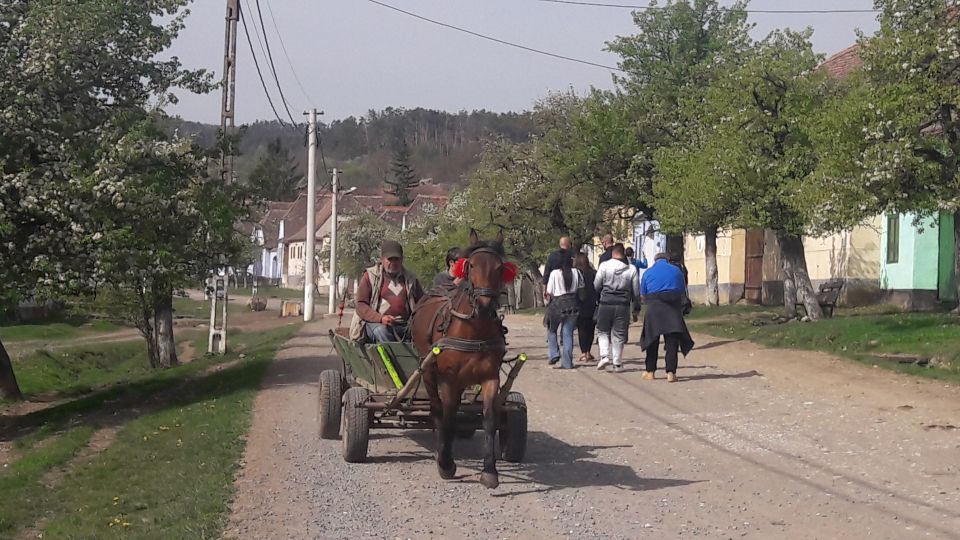 Unesco Tour: Sighisoara, Viscri, and Rupea From Brasov - Rupea Citadel