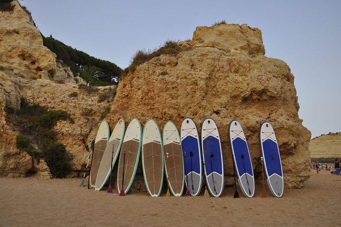 Unique Stand Up Paddle Experience! - Activity Suitability