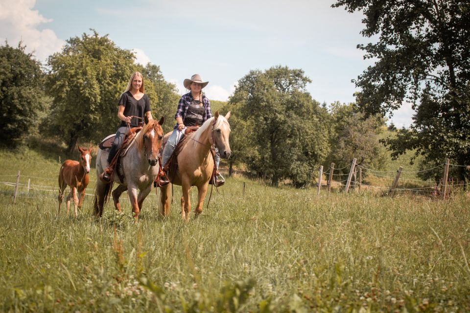 Upper Austria: Landscape, Forests, Meadows - Highlights of the Experience