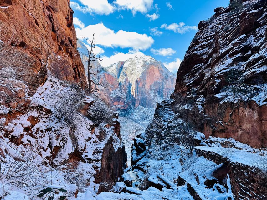 Utah: Zion National Park Half-Day Hike With Picnic - Inclusions