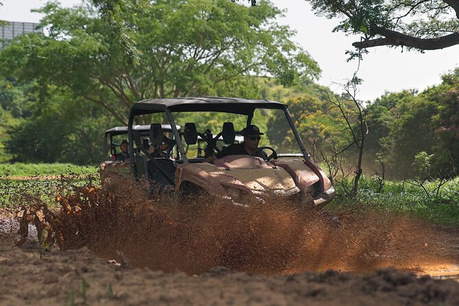 UTV Adventure in Naguabo Puerto Rico 50 Minutes Trip 80 Acres - Age and Group Restrictions