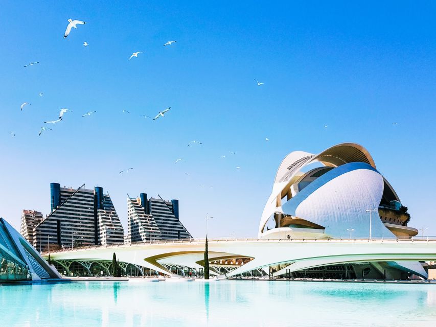 Valencia: Private 4-Hour Walking Tour With Cathedral - Key Landmarks and Attractions