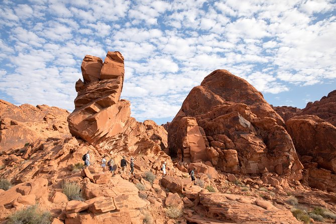 Valley of Fire Guided Hike From Las Vegas - Health and Safety Guidelines