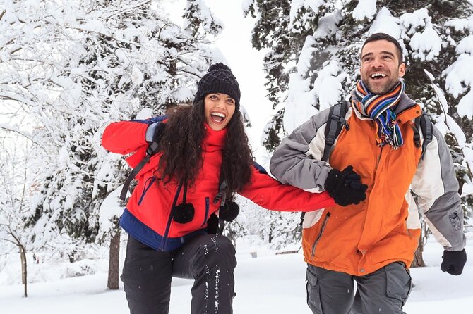 Vancouver Capilano Canyon Light and Peak of Christmas in Grouse Mountain - Group Pricing