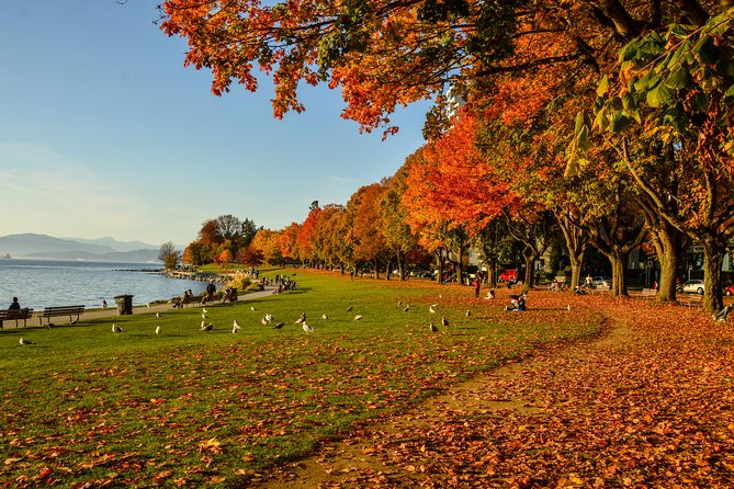 Vancouver City & Nature Photography - Cancellation and Weather Policies