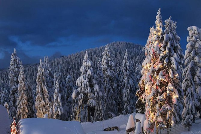 Vancouver Mountain to Mountain (Grouse,Cypress,Mount Seymour) Private - Grizzly Bears and Winter Installations