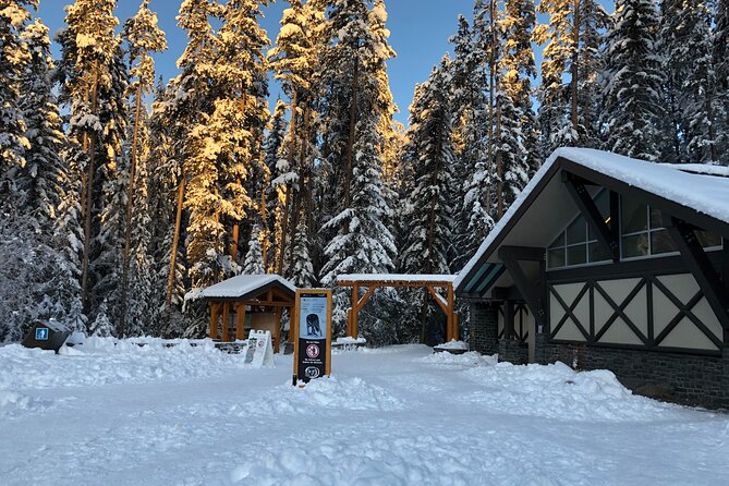 Vancouver to Banff 4 Days Rockies Lake Louise Snow Adventure Tour Private - Enjoying Campfire With Marshmallows