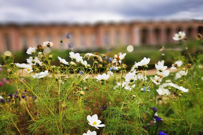 Versailles Full Day Private Guided Tour With Hotel Pickup - Reviews and Feedback