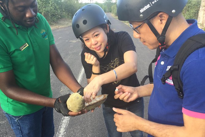 Victoria Falls Segway Tour - Reviews and Feedback