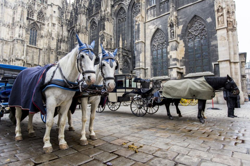 Vienna Cathedral District Audio Tour (EN) (NO Ticket) - Additional Information