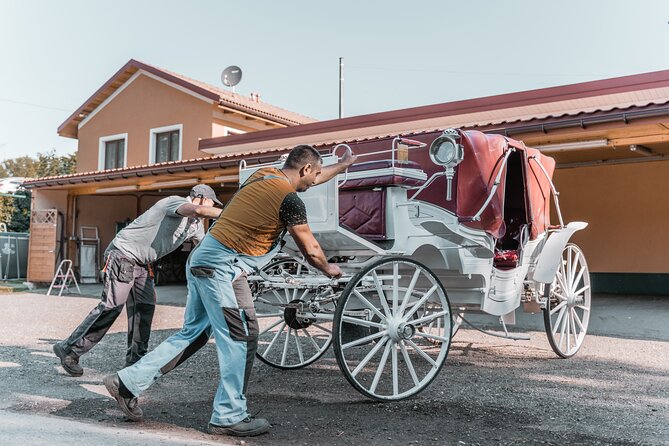 Vienna Horse-drawn Carriage Guided Tour - Cancellation Policy