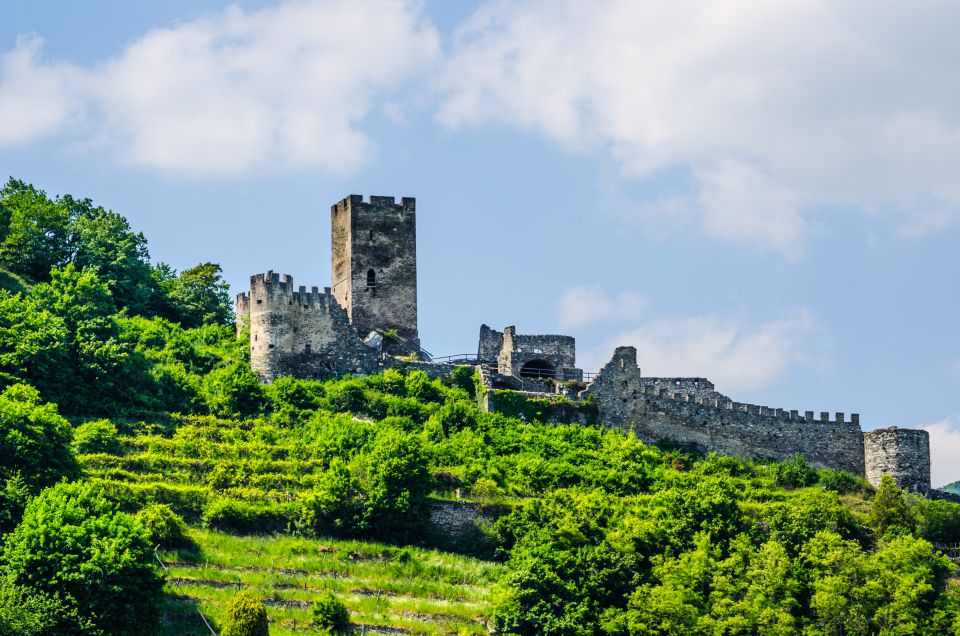 Vienna: Melk Abbey, Danube Valley, Wachau Private Car Trip - Optional Extras