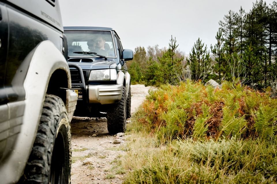 Vila Real: Serra Do Marão & Douro Valley Private 4X4 Tour - Visit to a Local Winery