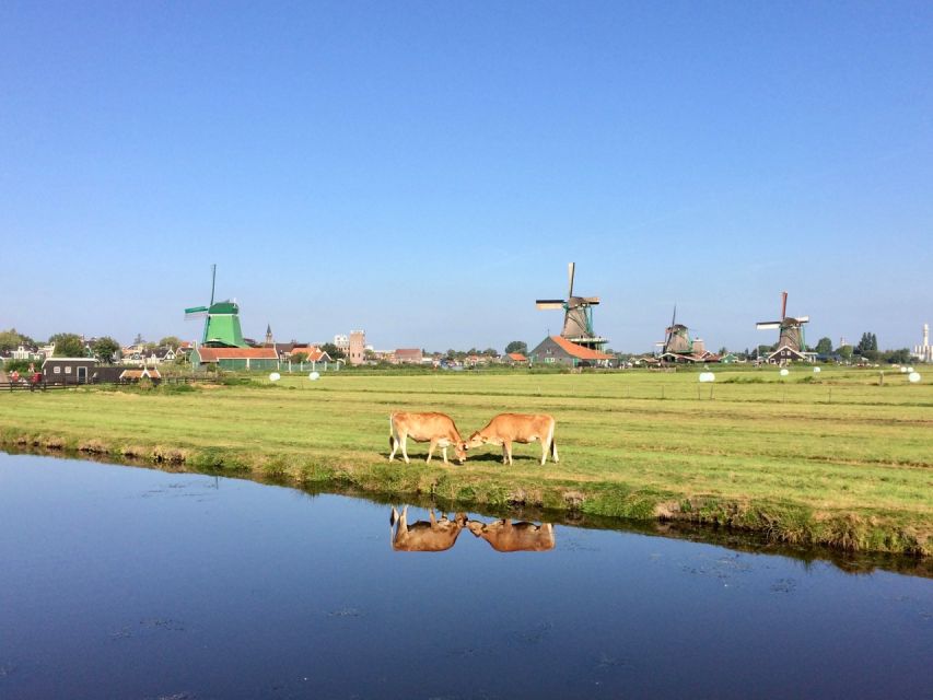 Villages & Windmills Zaanse Schans Small Group Tour - Age Restrictions