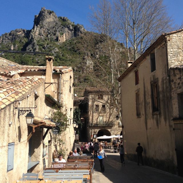 Vineyards and Village of the Languedoc - Tour Highlights