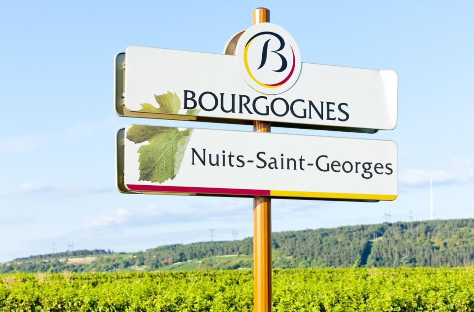 Vineyards of Beaune in a 2CV With a Picnic - Free Cancellation Policy