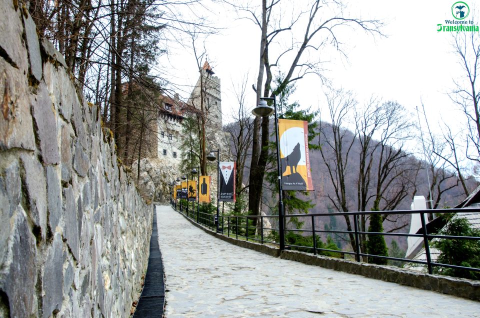 Visit Bear Sanctuary and Bran Castle From Brasov - Exclusions