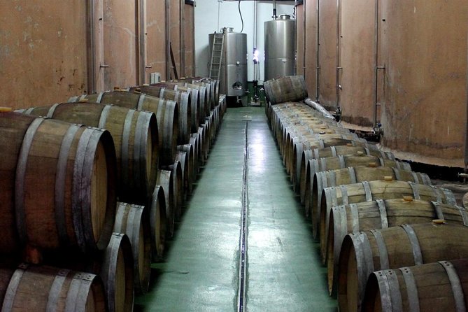 Visit Bodegas Tegueguía Winery in La Palma With Wine Tasting - Cancellation Policy Details