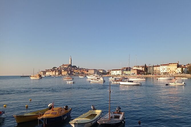 Vrsar, Lim Fjord and Rovinj Day Tour by Boat With Drinks - Possibility of Spotting Dolphins