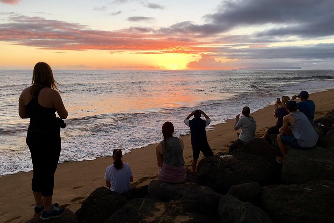 Waimea Canyon Downhill Bike Ride - Pricing and Booking