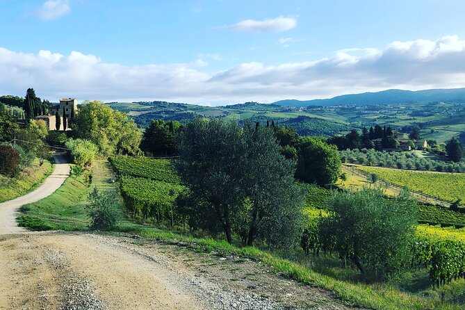 Walking Tour of Chianti Classico With 3 Organic Wine Tasting and Lunch - Sustainable and Eco-friendly Experience