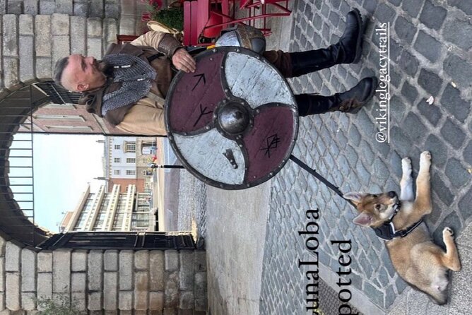 Walking Tour of Dublin'S Viking/Medieval Quarter With a Viking - Whats Included in the Tour