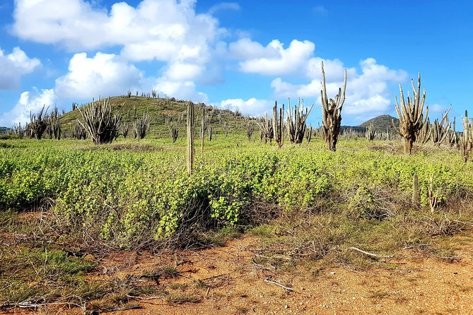 Washington Slagbaai National Park Tour in Bonaire - Snorkeling and Hiking