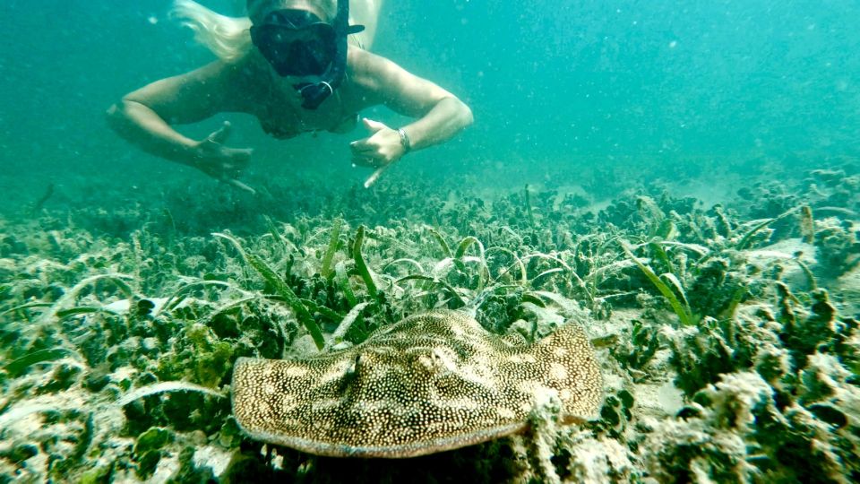 West Palm Beach: Beginner Jet Snorkel Tour With Videos - About the Tour